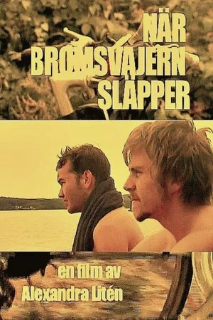 Постер: No Brakes