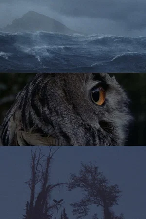 Постер: Places We'll Breathe