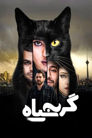 Постер: The Black Cat