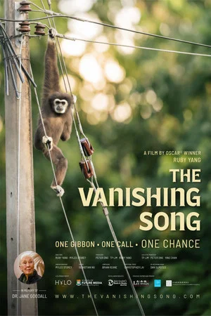 Постер: The Vanishing Song