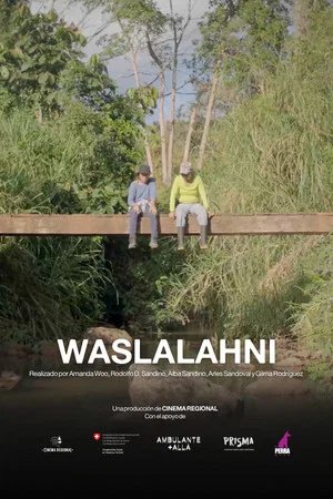 Постер: Waslalahni