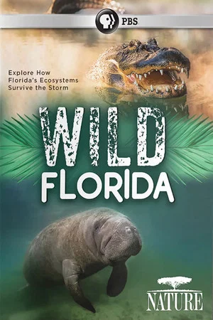 Постер: Wild Florida