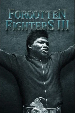 Постер: Forgotten Fighters III