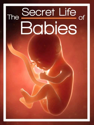 Постер: The Secret Life of Babies