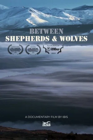 Постер: Entre pastores e lobos