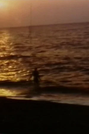Постер: Beach House