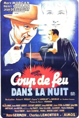 Постер: Coup de feu dans la nuit