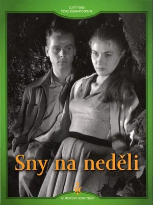 Постер: Sny na neděli