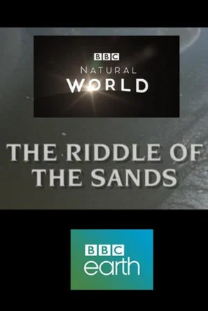 Постер: The Riddle of the Sands