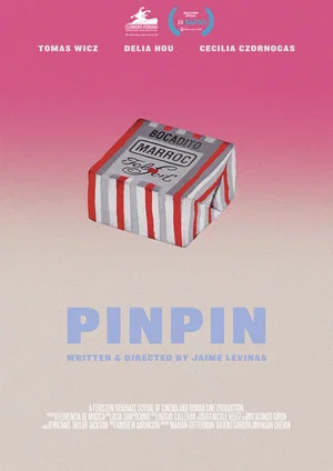 Постер: PINPIN