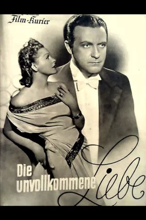 Постер: Die unvollkommene Liebe