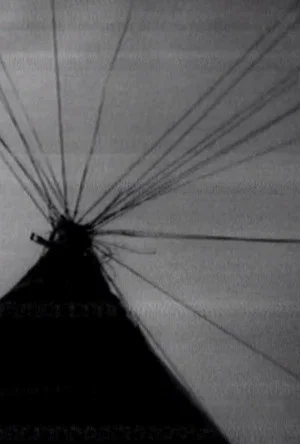 Постер: Funnel Web Family Refrigerated