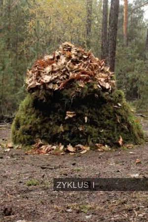 Постер: Zyklus I