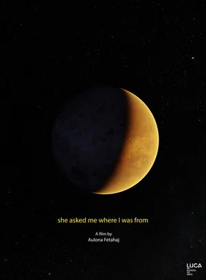 Постер: She Asked Me Where I Was From