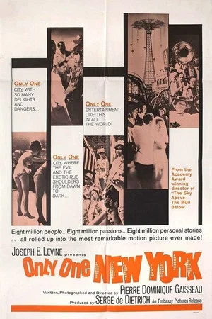 Постер: Only One New York