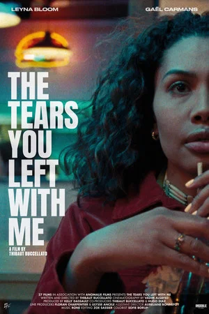 Постер: The Tears You Left with Me