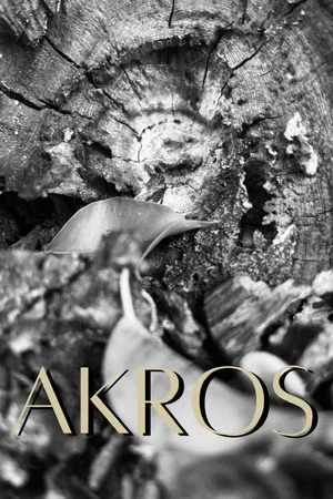 Постер: Akros