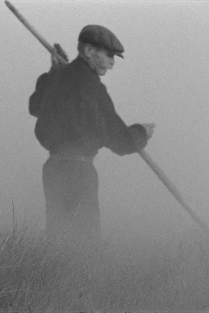Постер: The Old Man and the Land