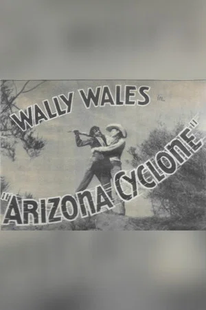 Постер: Arizona Cyclone