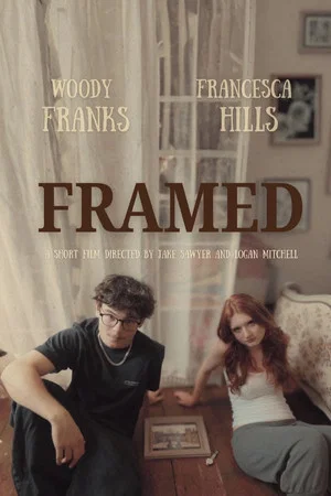 Постер: Framed