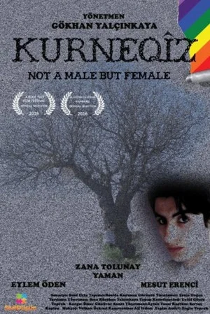Постер: Not a Male but Female