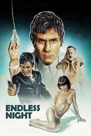 Постер: Endless Night