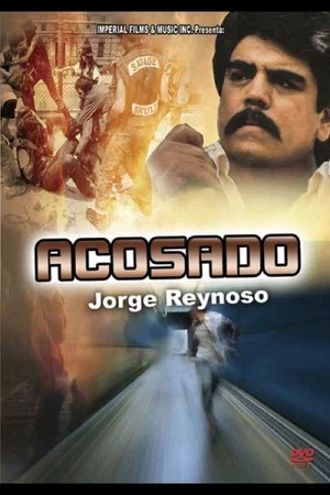 Постер: Acosado