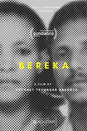 Постер: Bereka