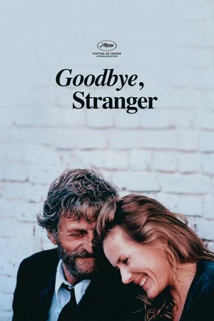 Постер: Goodbye Stranger