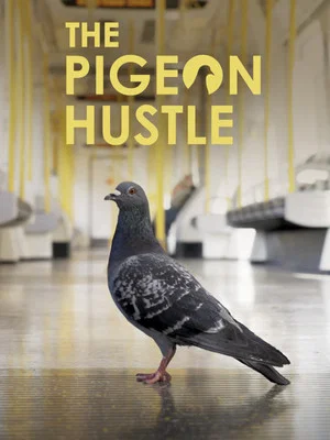 Постер: The Pigeon Hustle