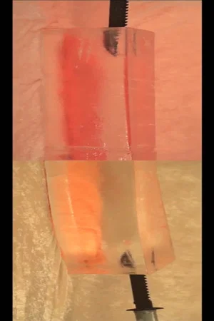 Постер: Stabbing