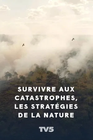 Постер: Survivre aux catastrophes, les stratégies de la nature