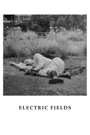 Постер: Electric Fields