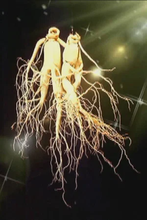 Постер: Visit to Kaesong, the Place of Ginseng
