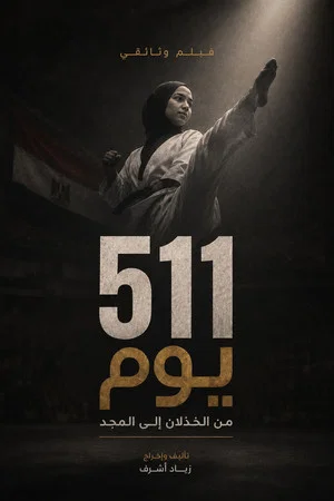Постер: 511 Days