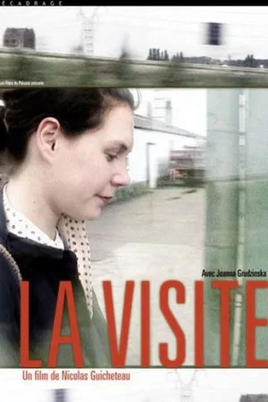 Постер: La visite