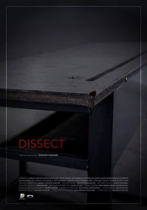 Постер: Dissect