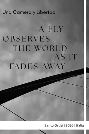 Постер: A fly observes the world as it fades away