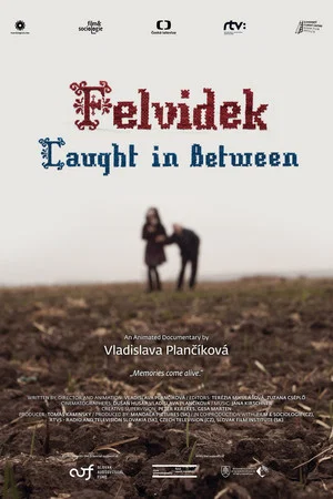 Постер: Felvidek – Caught in Between
