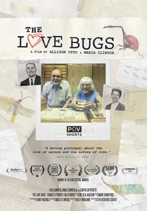 Постер: The Love Bugs