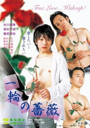 Постер: A Single Rose