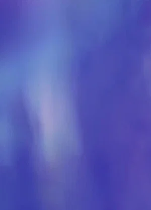 Постер: Jacarandas