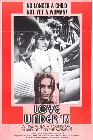 Постер: Love Under 17