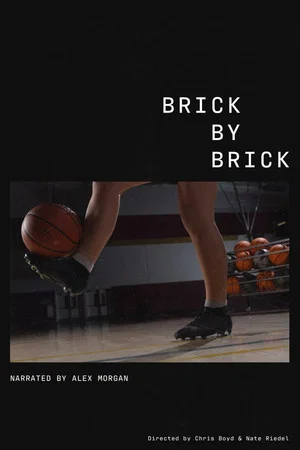 Постер: Brick by Brick