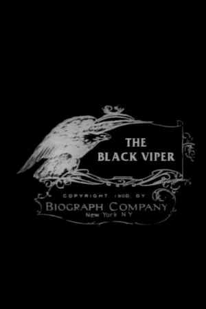 Постер: The Black Viper