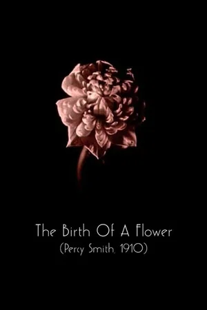 Постер: The Birth of a Flower