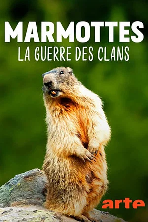 Постер: Marmottes la Guerre des Clans