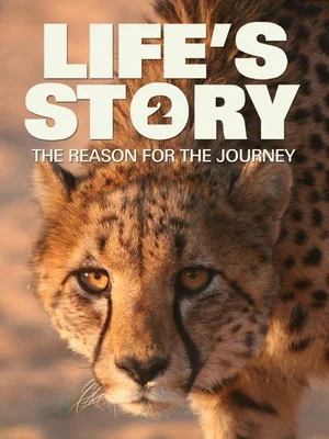 Постер: Life's Story 2: The Reason For The Journey