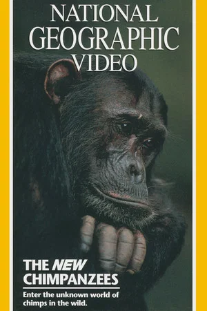 Постер: The New Chimpanzees