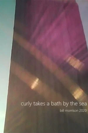 Постер: Curly Takes a Bath by the Sea